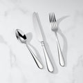 Studio 1414 24-Piece Flatware Set